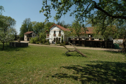 Asistentka, hospodyně