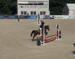 Hodny pony valach ????