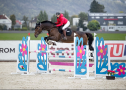 Spolehlivá sportovní klisna