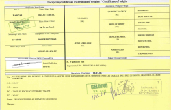 PRODEJ KONĚ – KLUSÁK BALAC LOBELL (valach) 